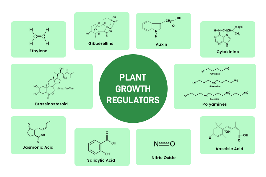Plant Growth Regulators